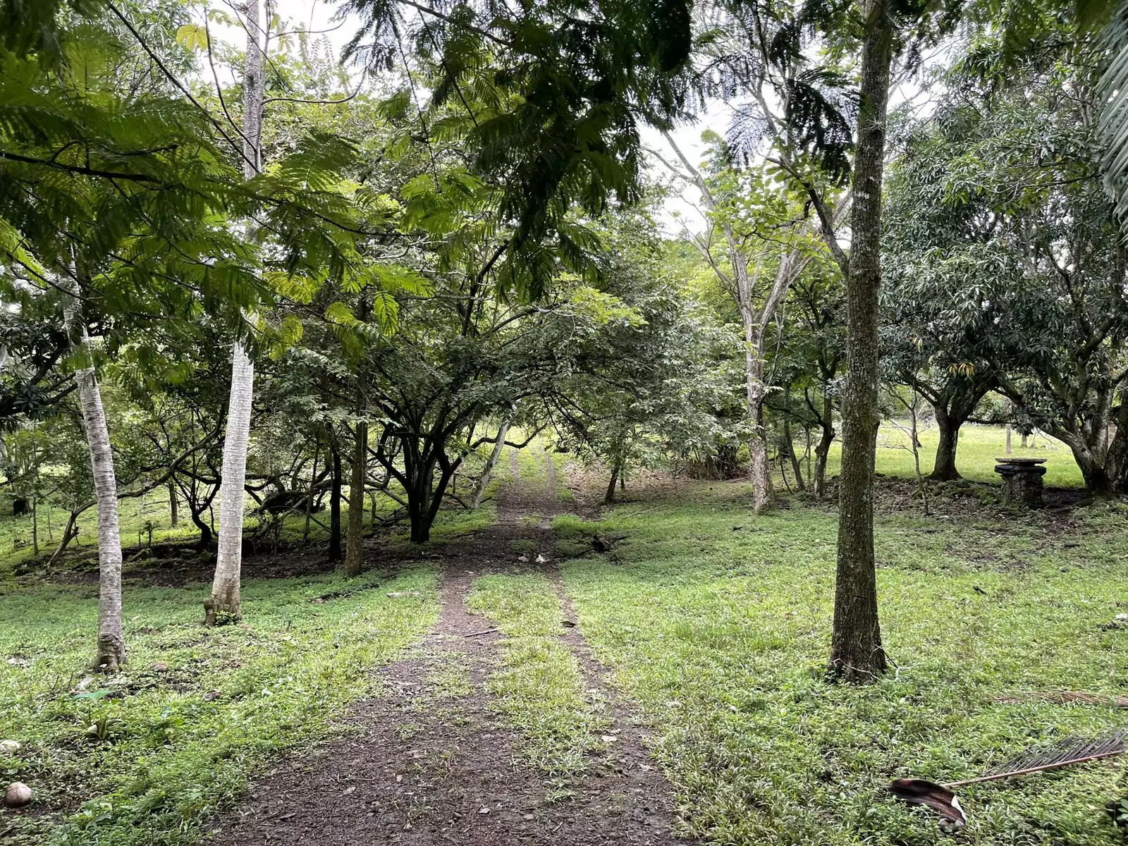 Property at La Garita