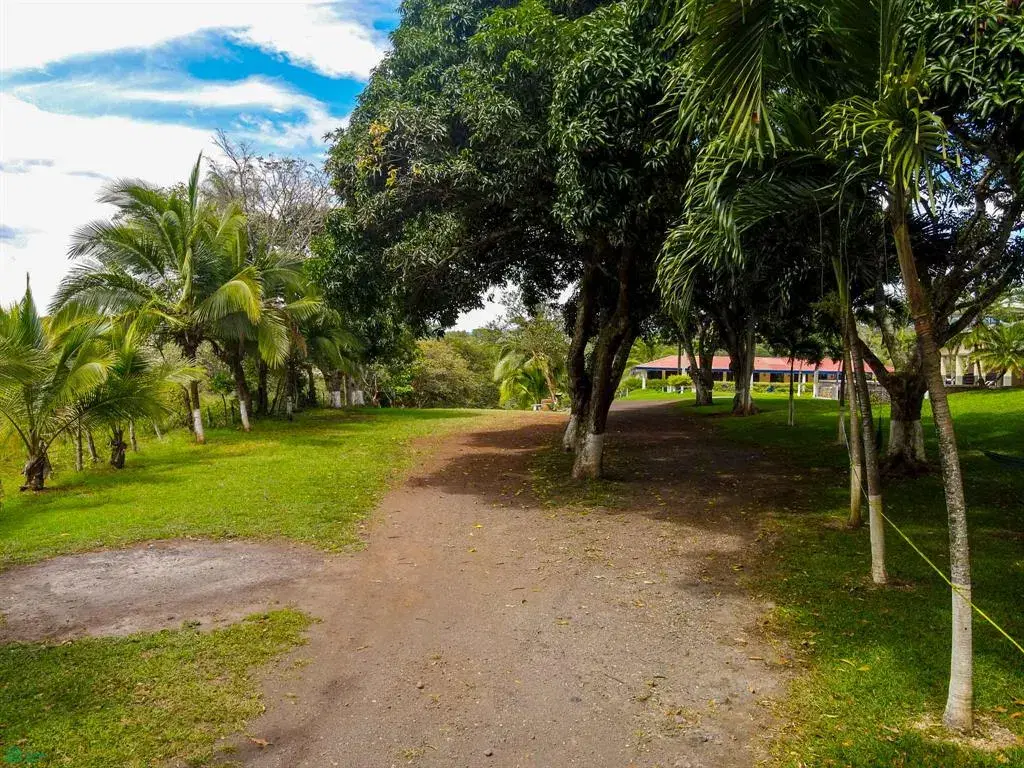 Property at La Garita