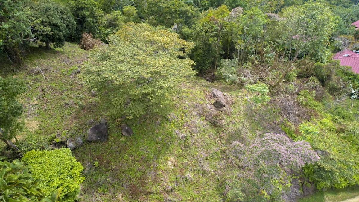Finca en Dominicalito