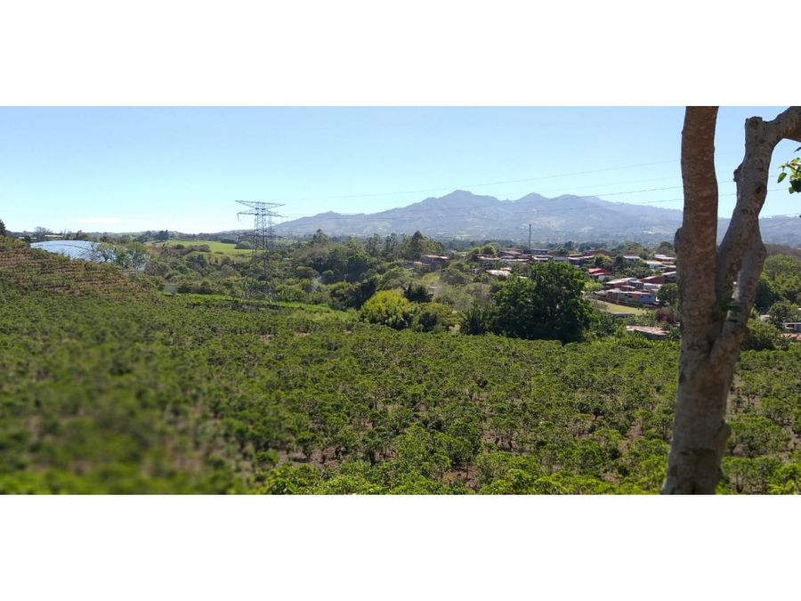 Propiedad en San Jerónimo