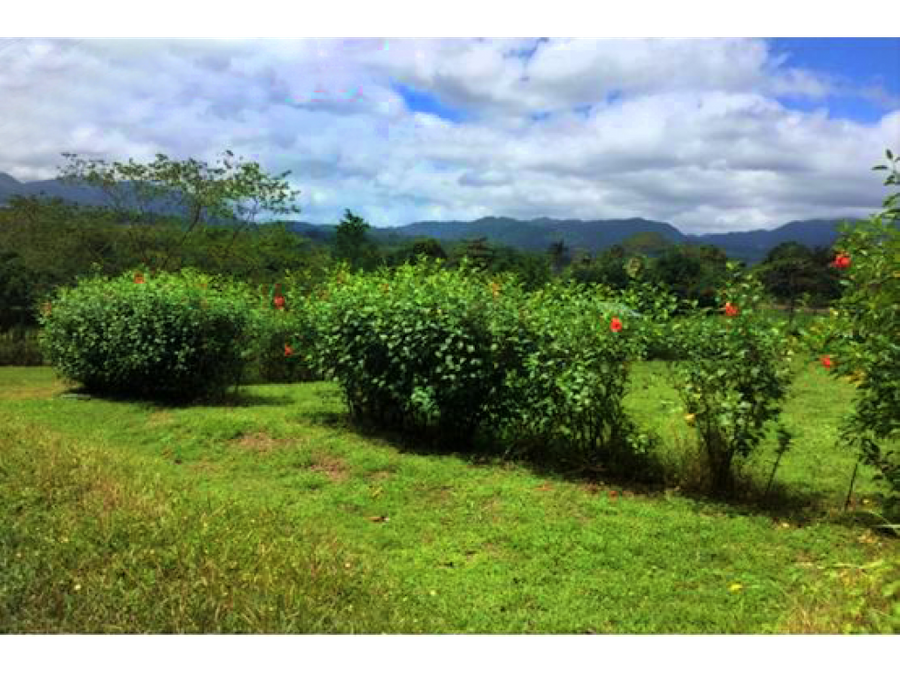 Propiedad en Alajuela