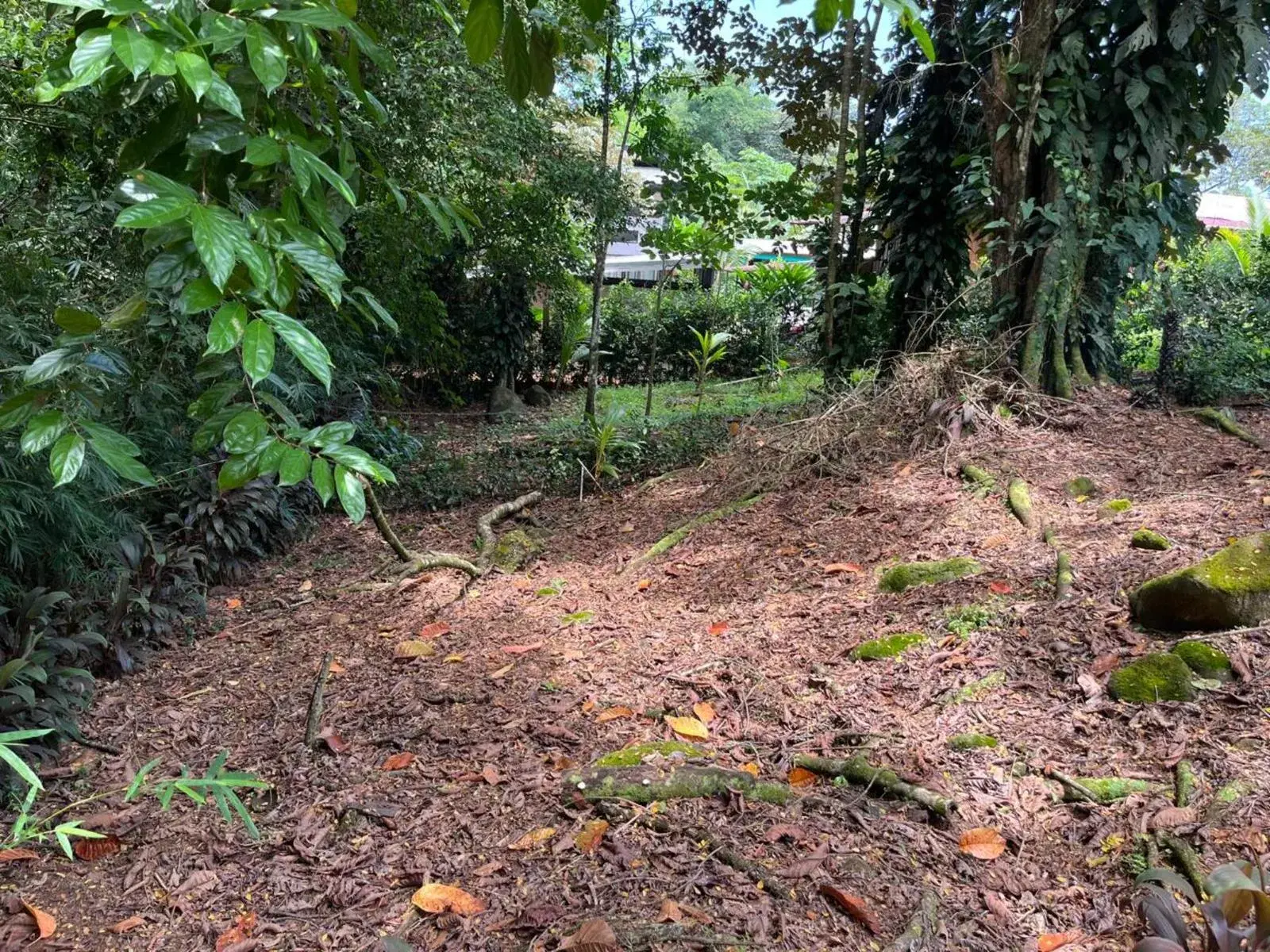 Terreno en Bahía Ballena