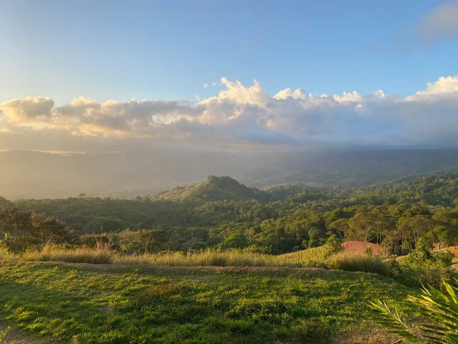 Terreno en San Antonio