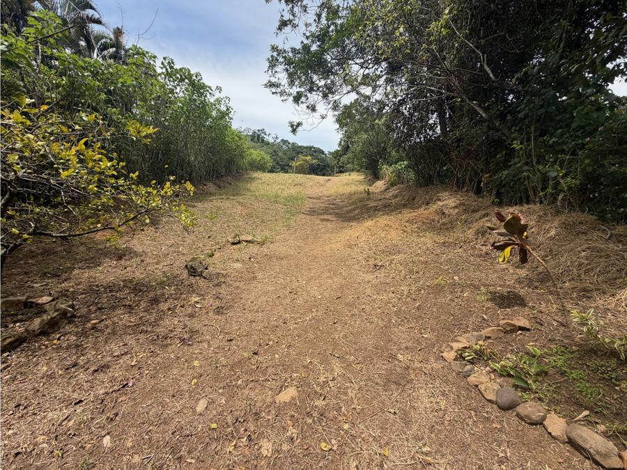 Terreno en Escobal