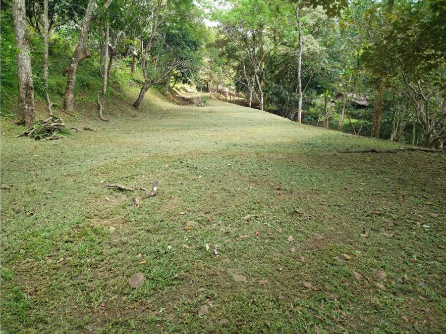 Land at San Pedro