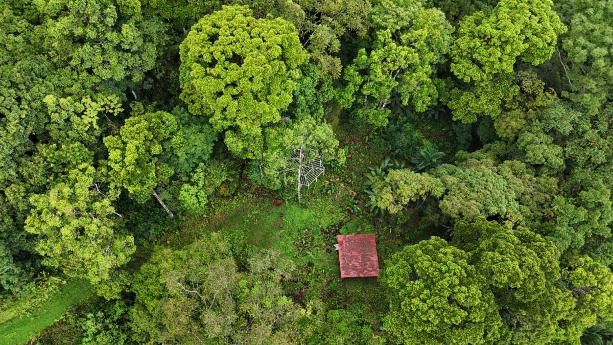 Finca en San Isidro del General