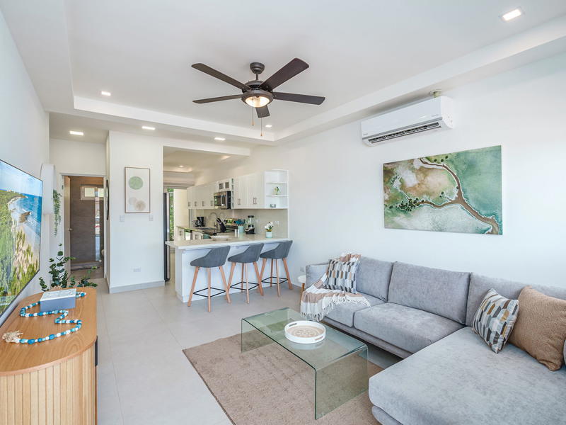 Property at Tamarindo