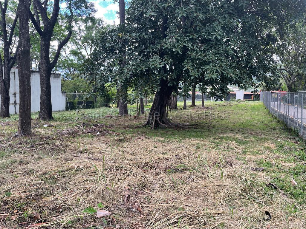 Propiedad en Santa Ana