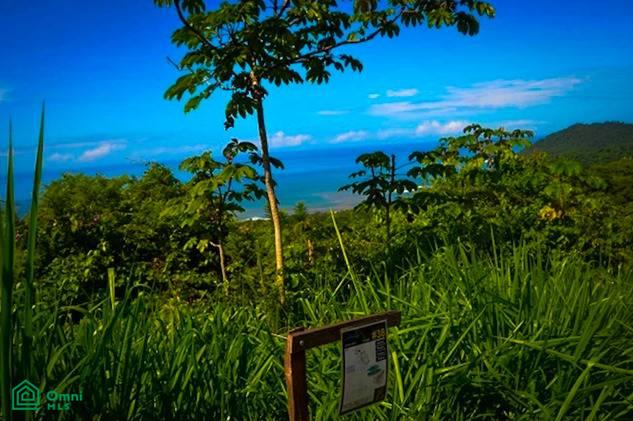 Land at Bejuco