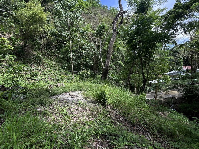 Terreno en Cóbano