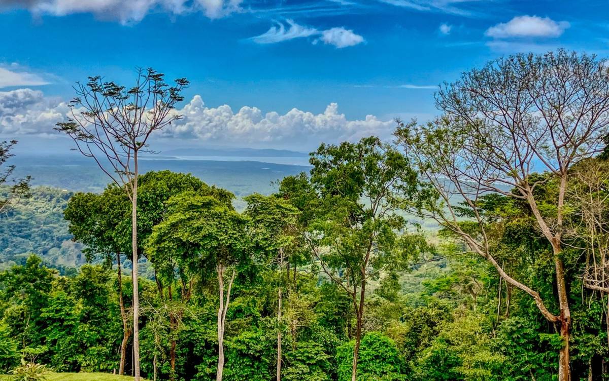 Property at Tres Ríos