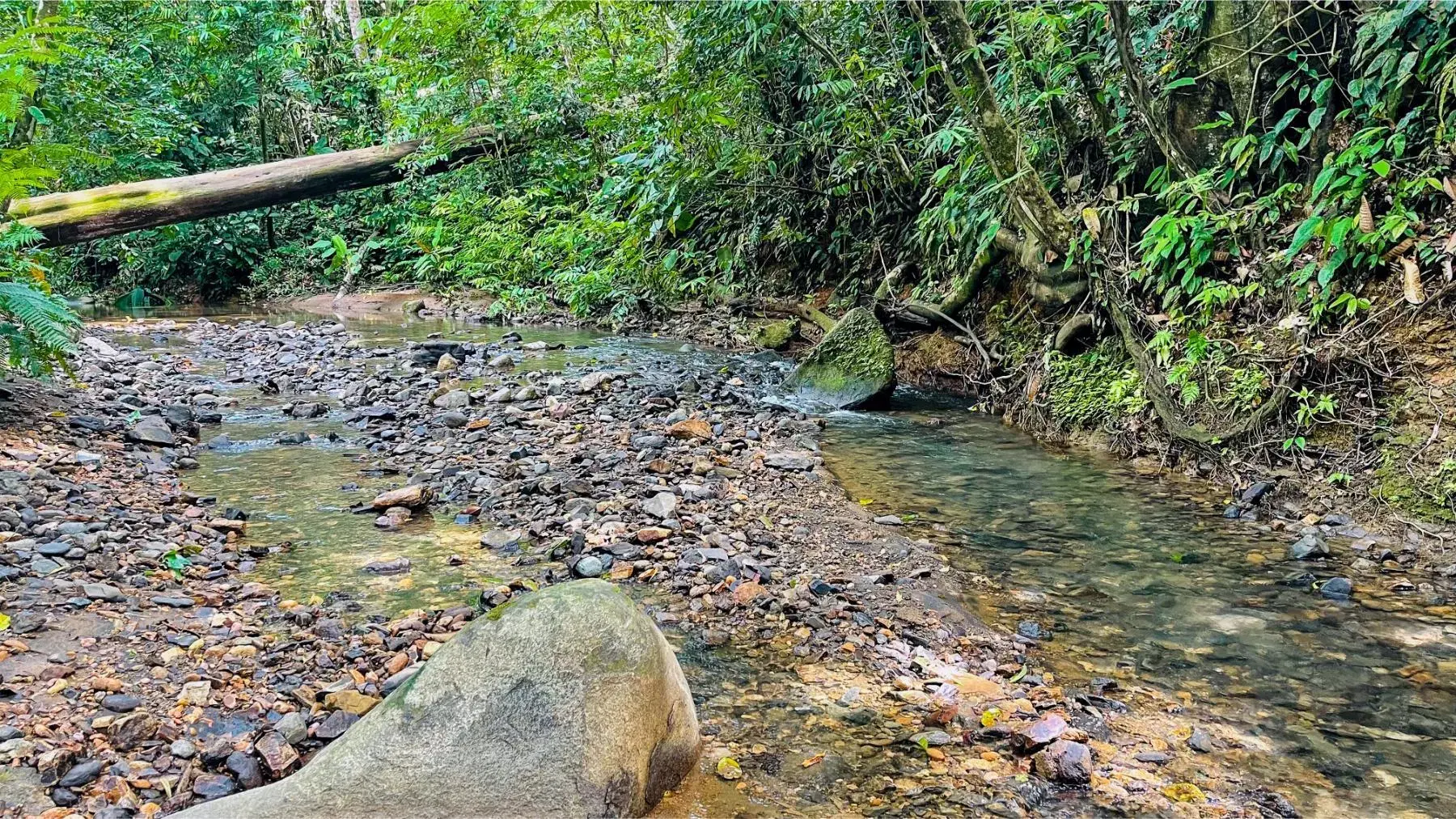 Land at Bahía Ballena