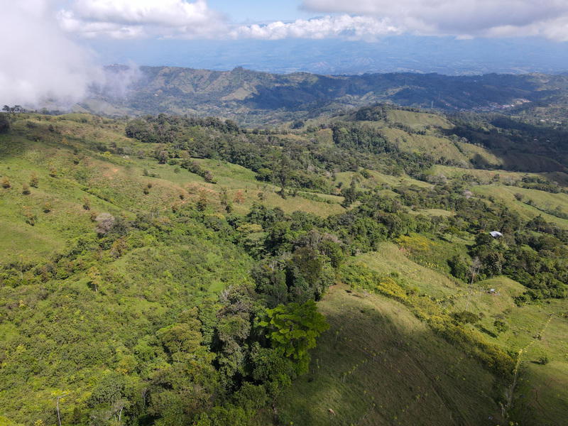 Terreno en Platanares