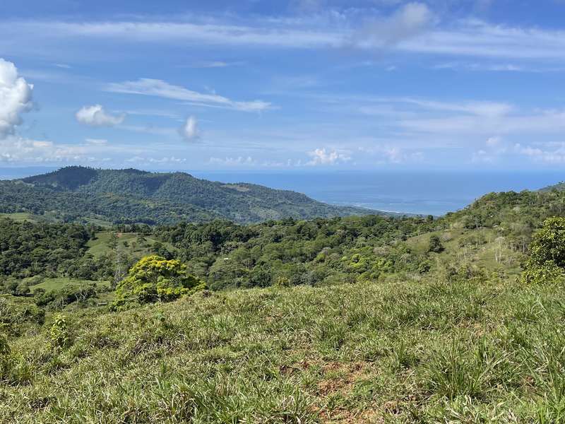 Terreno en Bahía Ballena