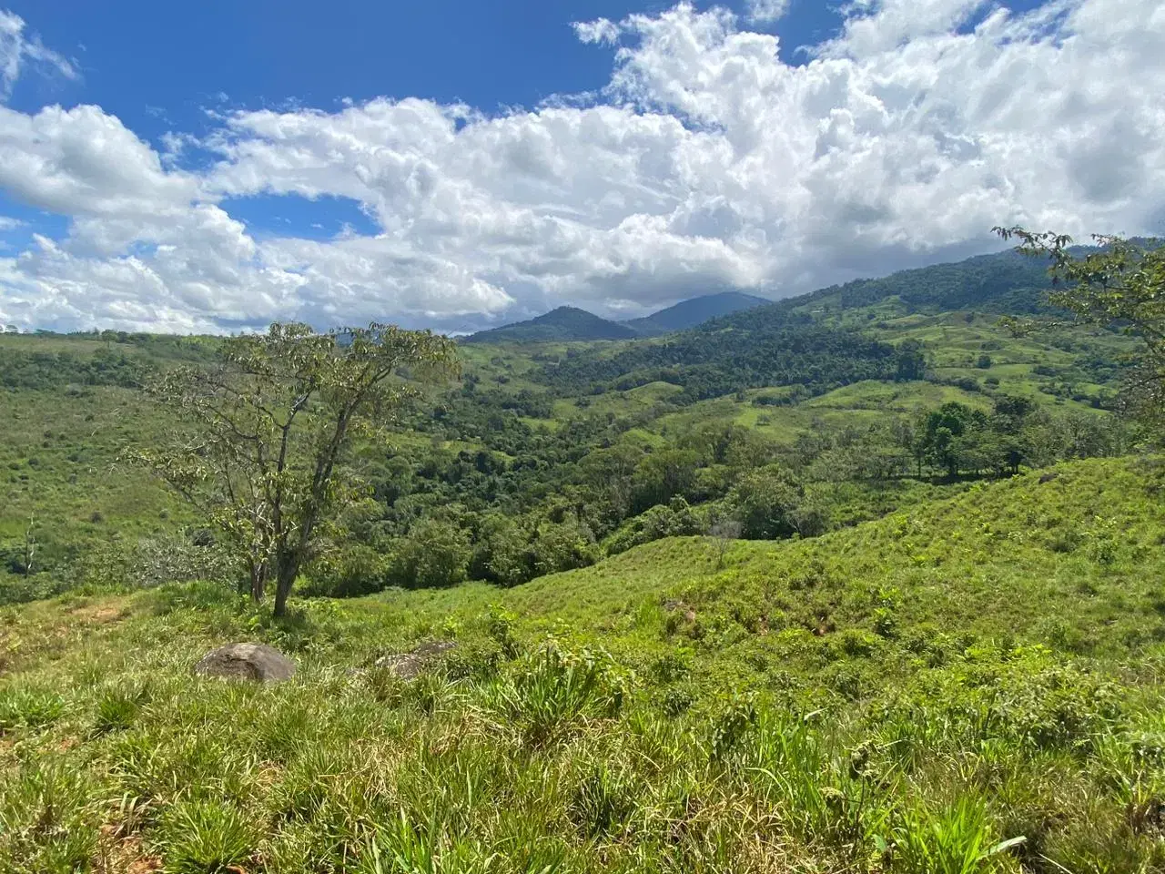 Terreno en San Isidro del General