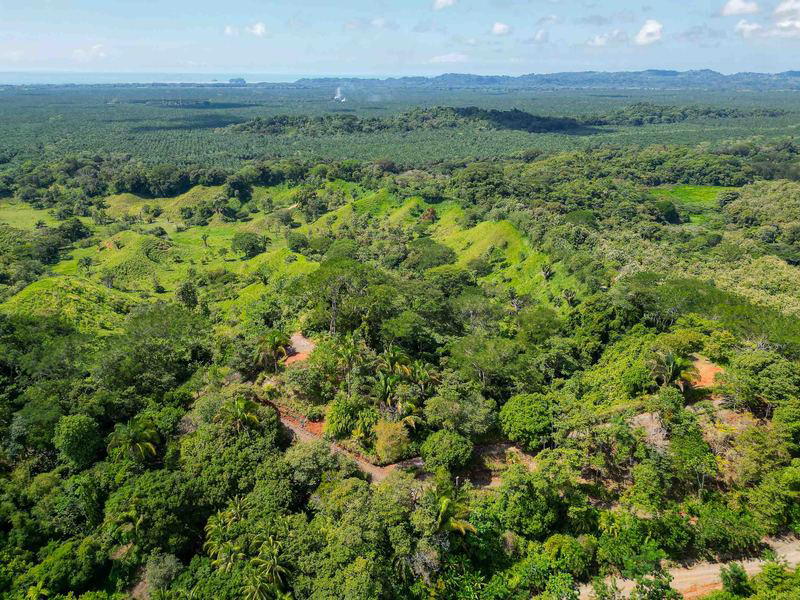 Land at Quepos