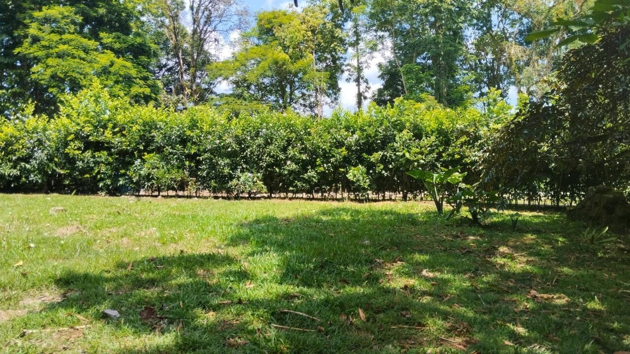 Property at Horquetas