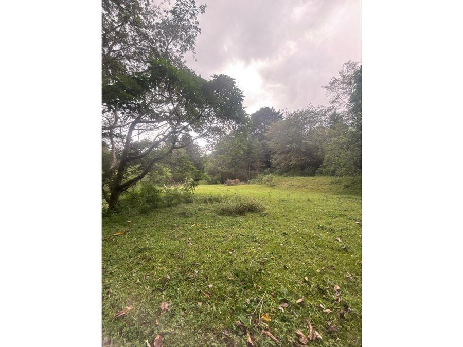 Terreno en Carrizal