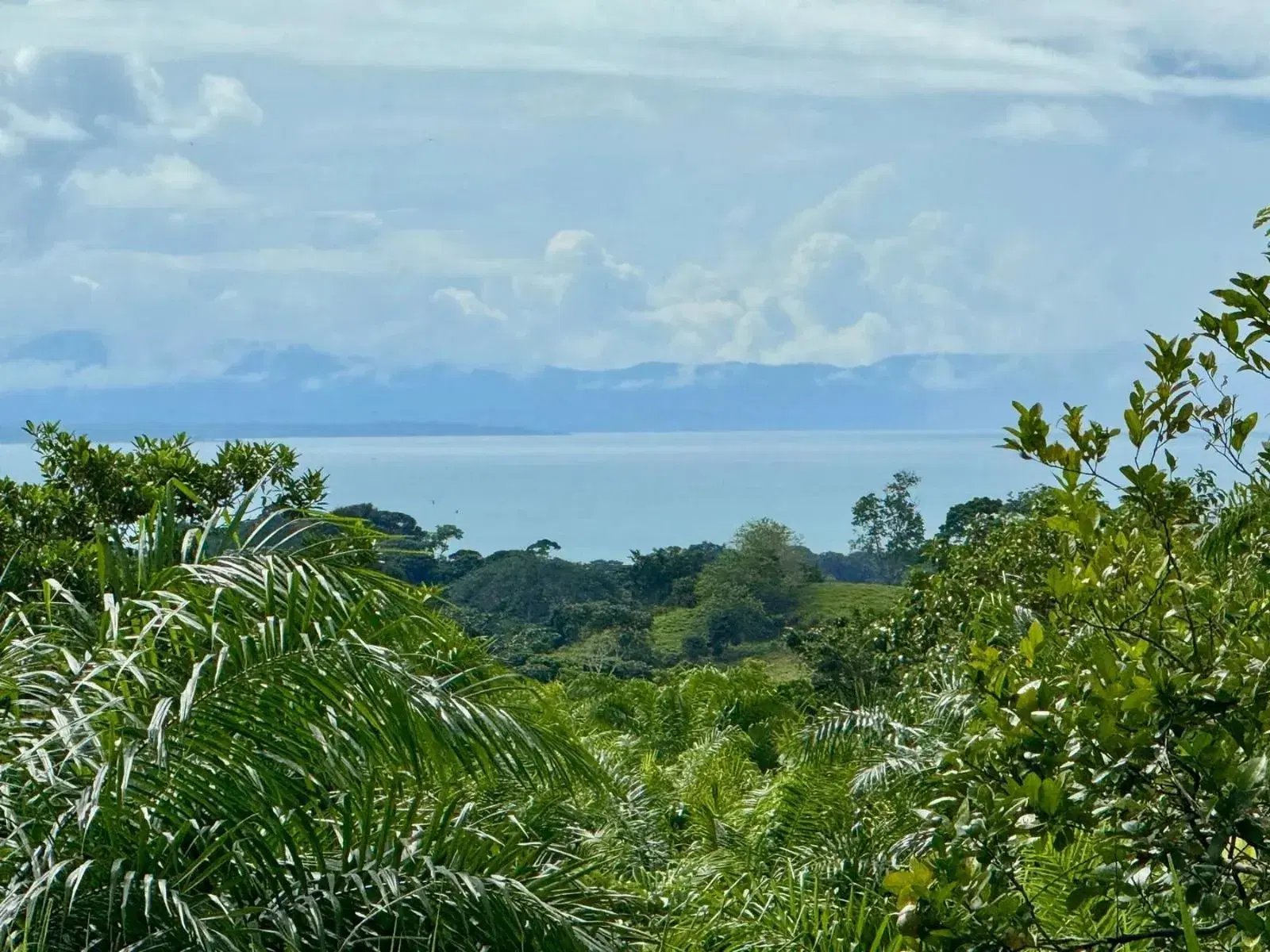 Land at Golfito