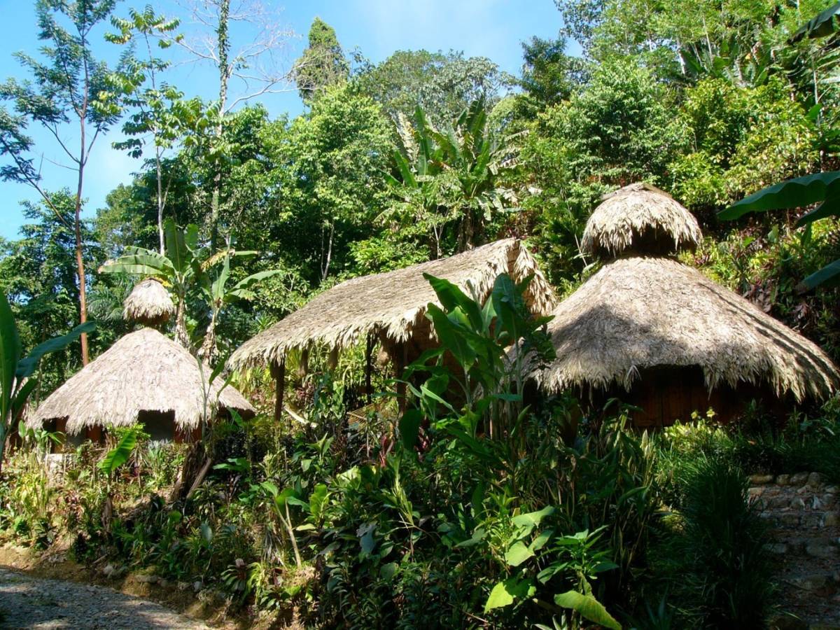Finca en Cahuita