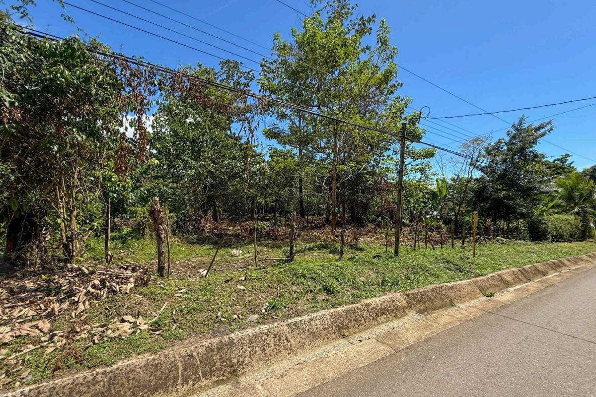 Property at Ojochal