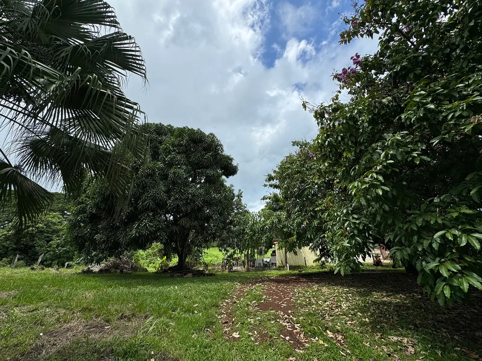 Terreno en Cóbano