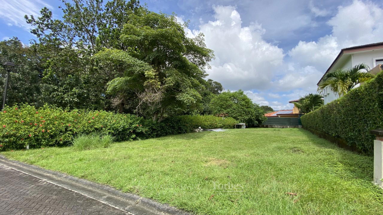 Property at Jacó