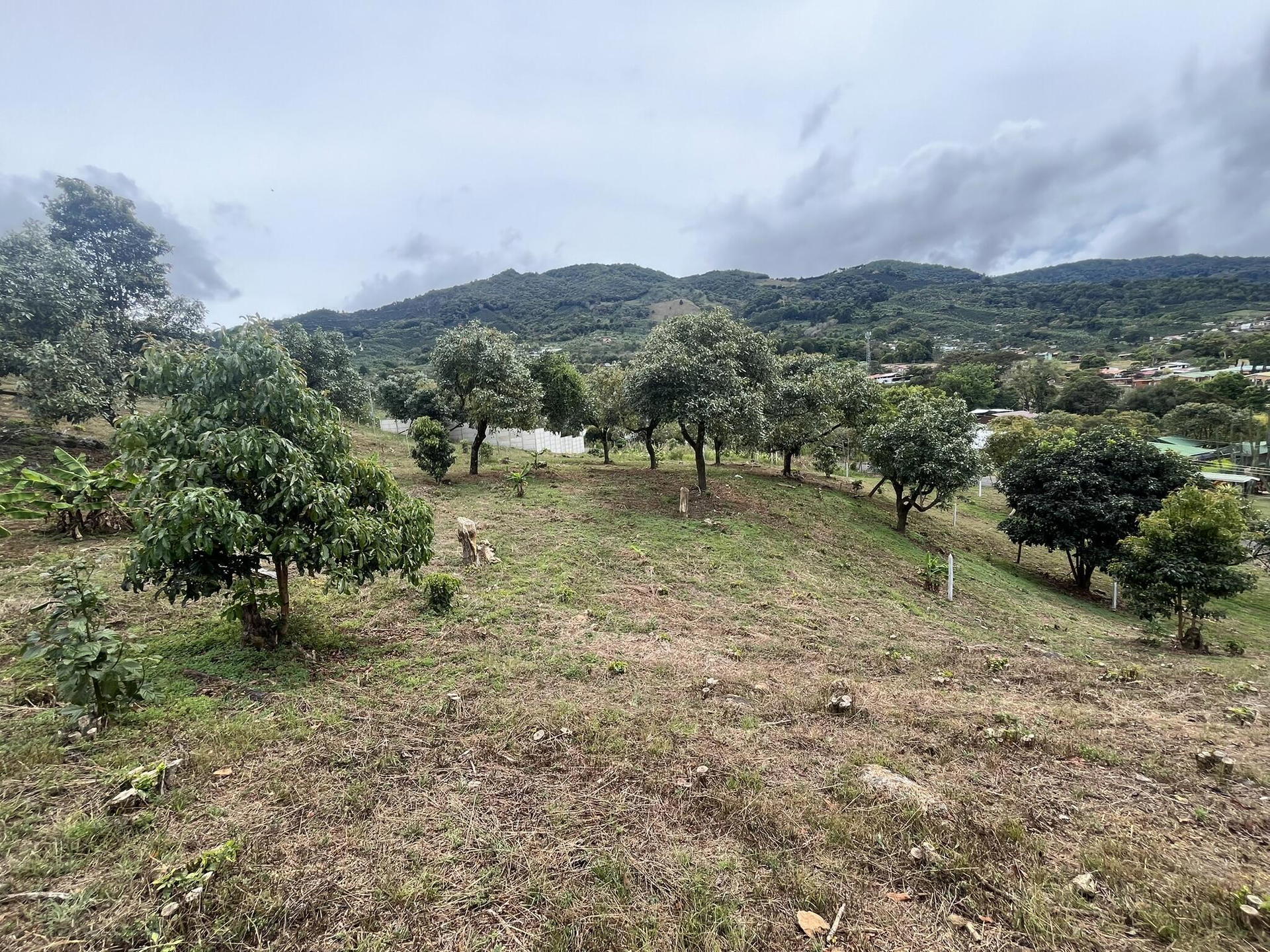 Property at Santa María