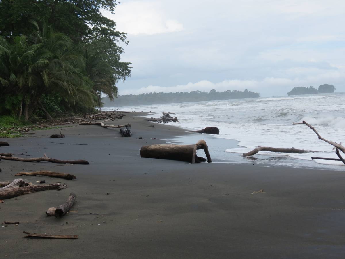 Finca en Manzanillo