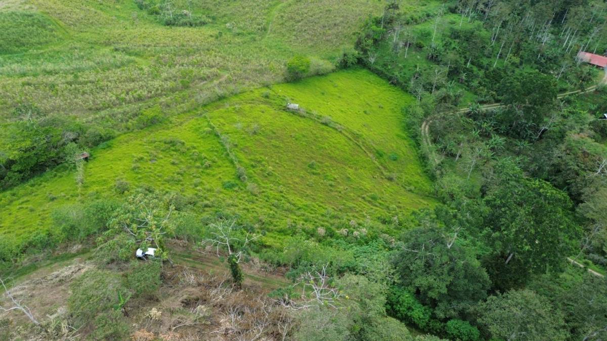 Finca en Turrialba