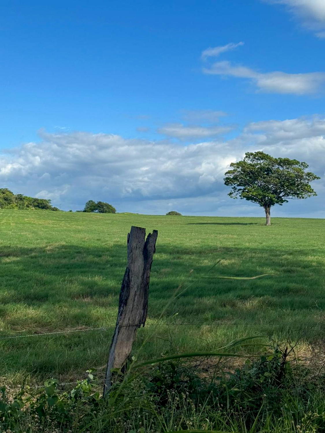 Land at Bagaces