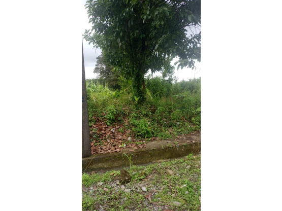 VENTA DE DOS LOTES, LIMÓN, SIQUIRRES, URBANIZACIÓN PUEBLO NUEVO