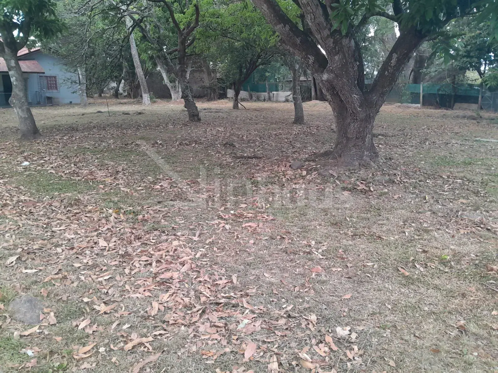 Property at Piedades