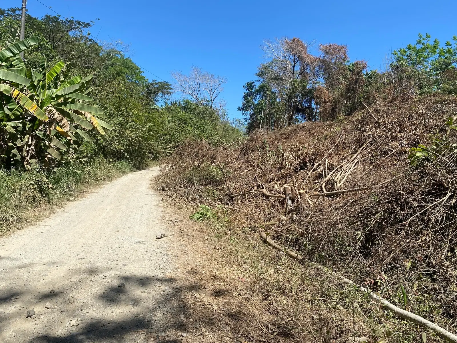 Land at Cóbano