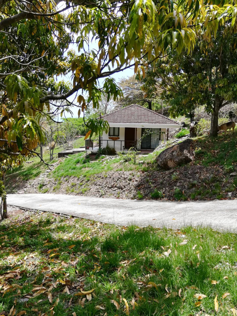Finca en Uruca