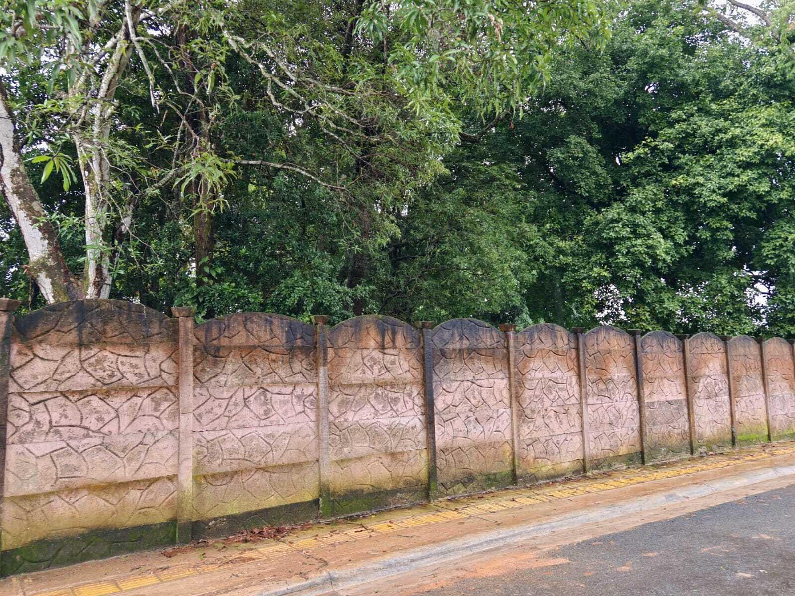 Property at San Mateo