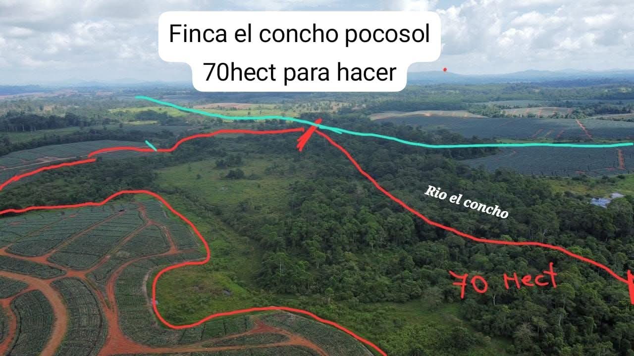 Estate at Pocosol