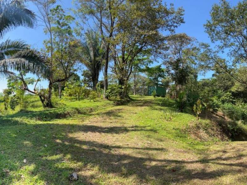 Land at Puerto Cortés