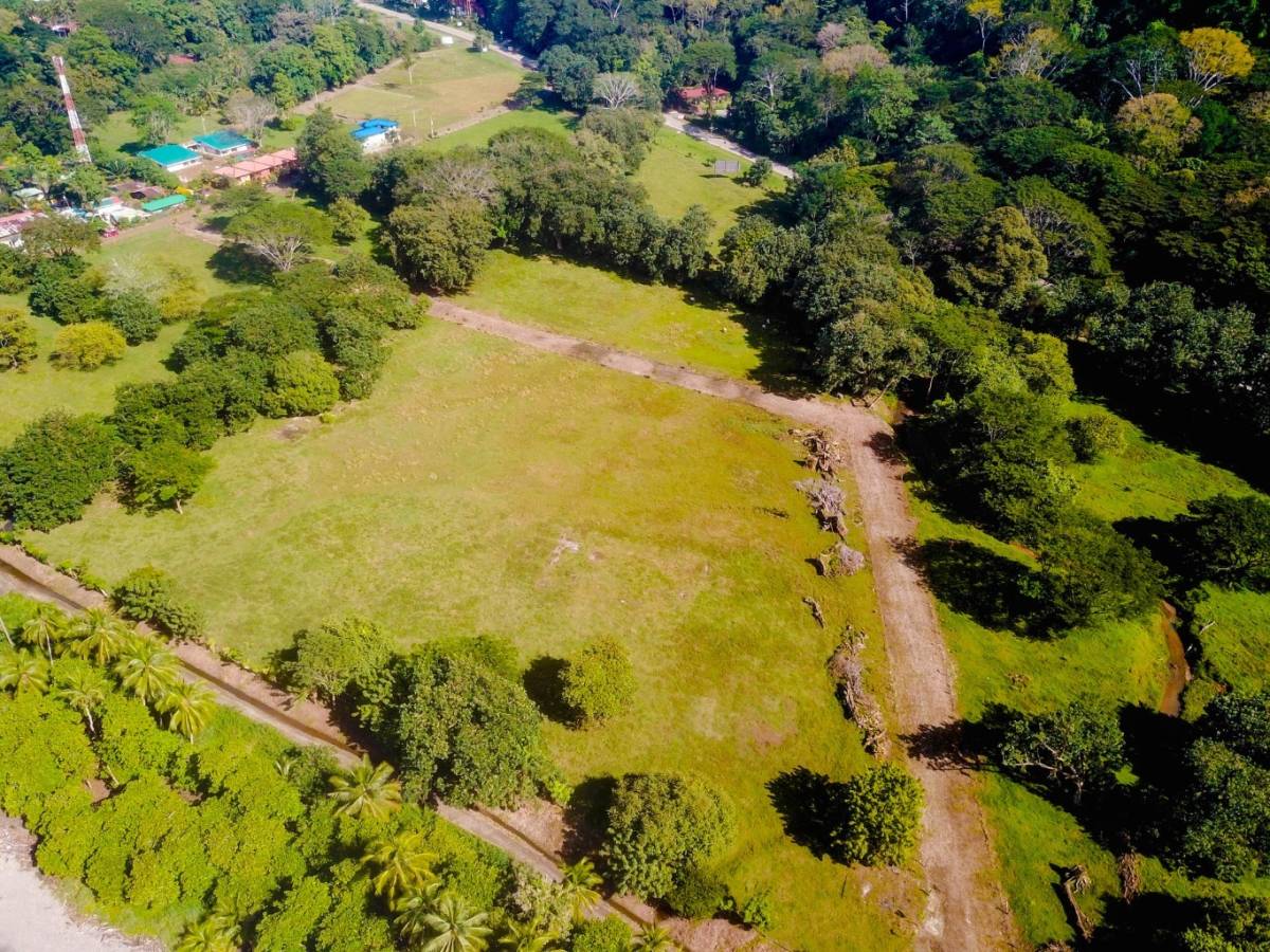 Estate at Dominical