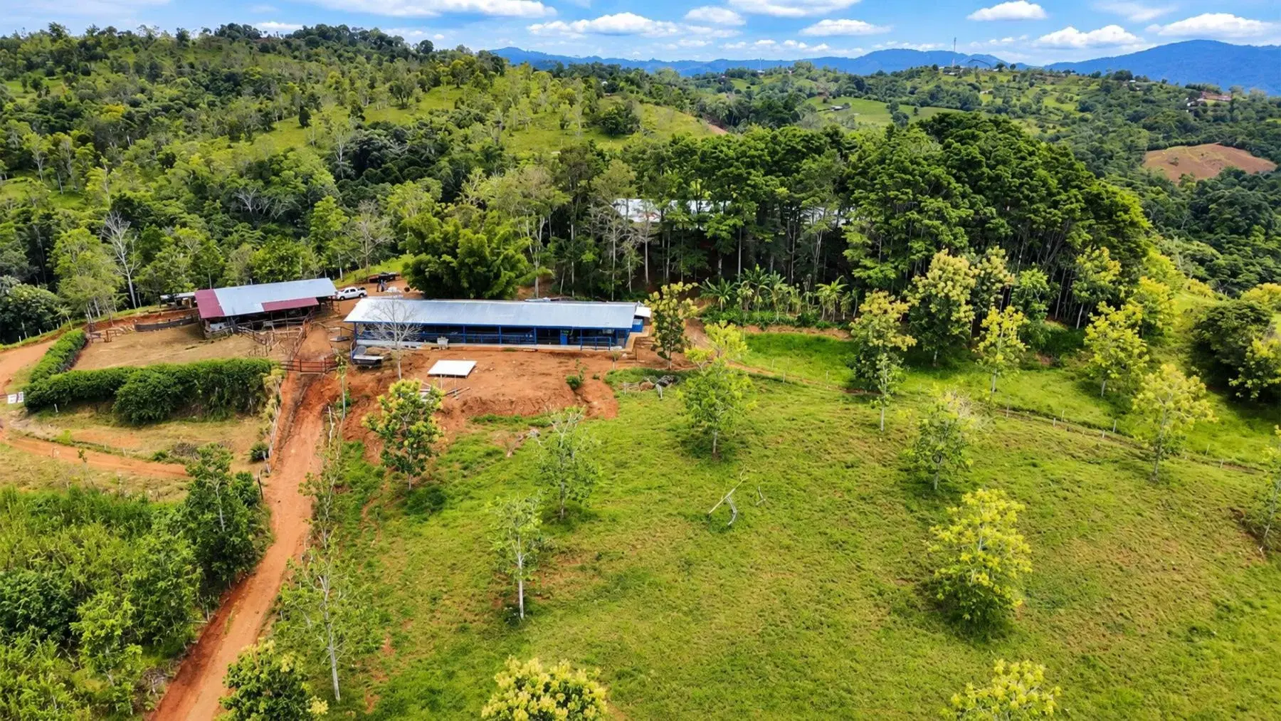 Terreno en Pejibaye