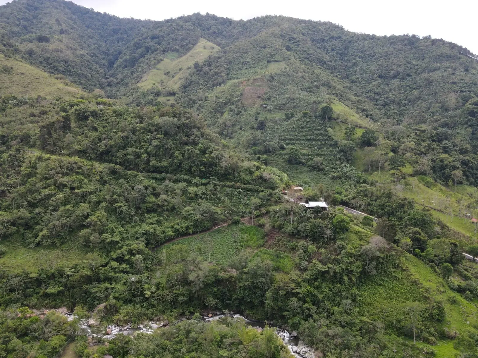 Commercial at El General