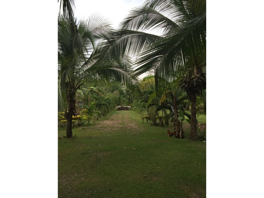 Terreno en Puerto Jiménez