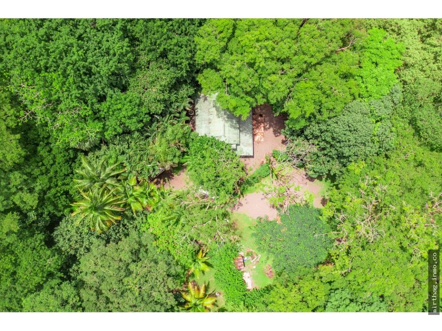 House at Tamarindo