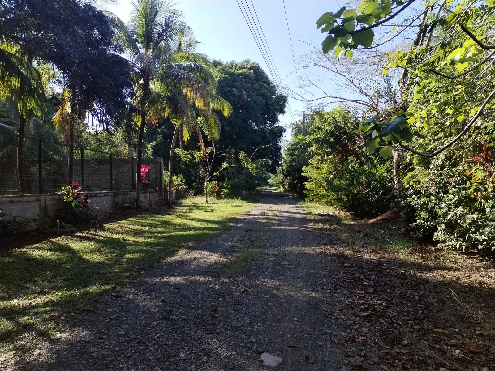 Land at Savegre