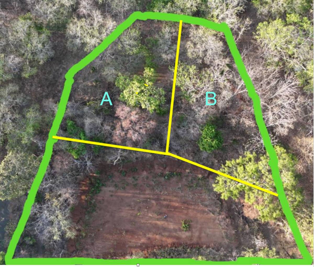 Propiedad en Avellanas