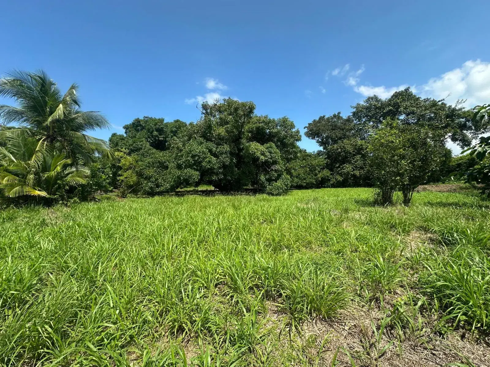 Land at Quepos