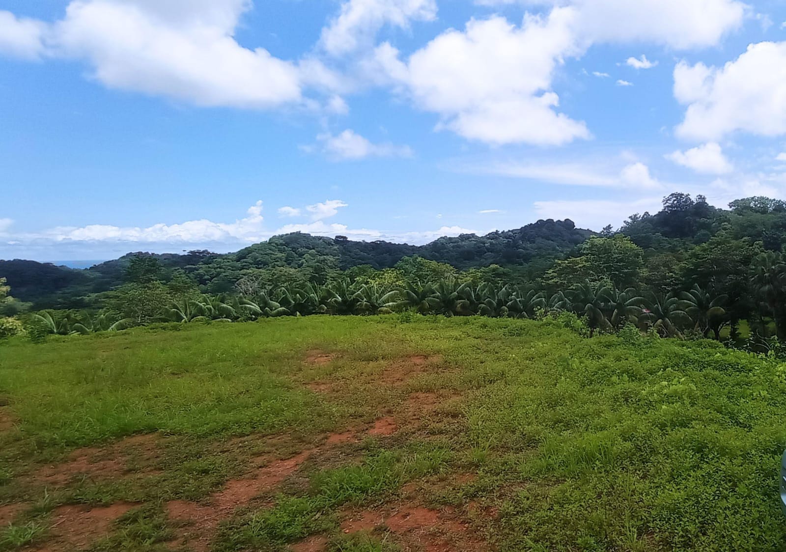 Land at Puerto Cortés