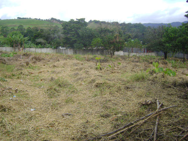 Terreno en Guácimo