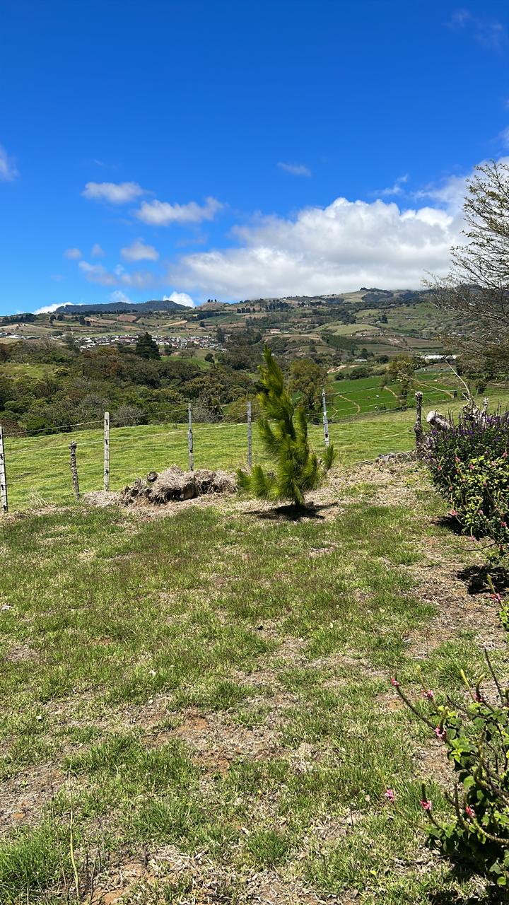 Terreno en San Rafael