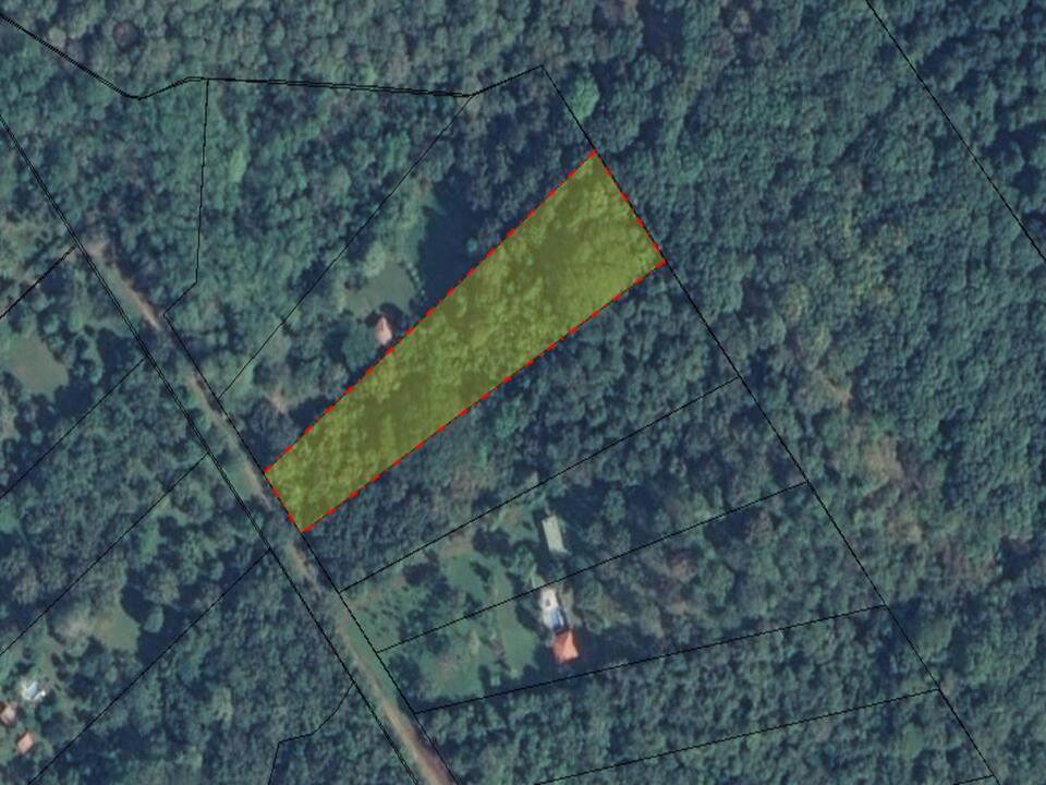 Property at Orotina